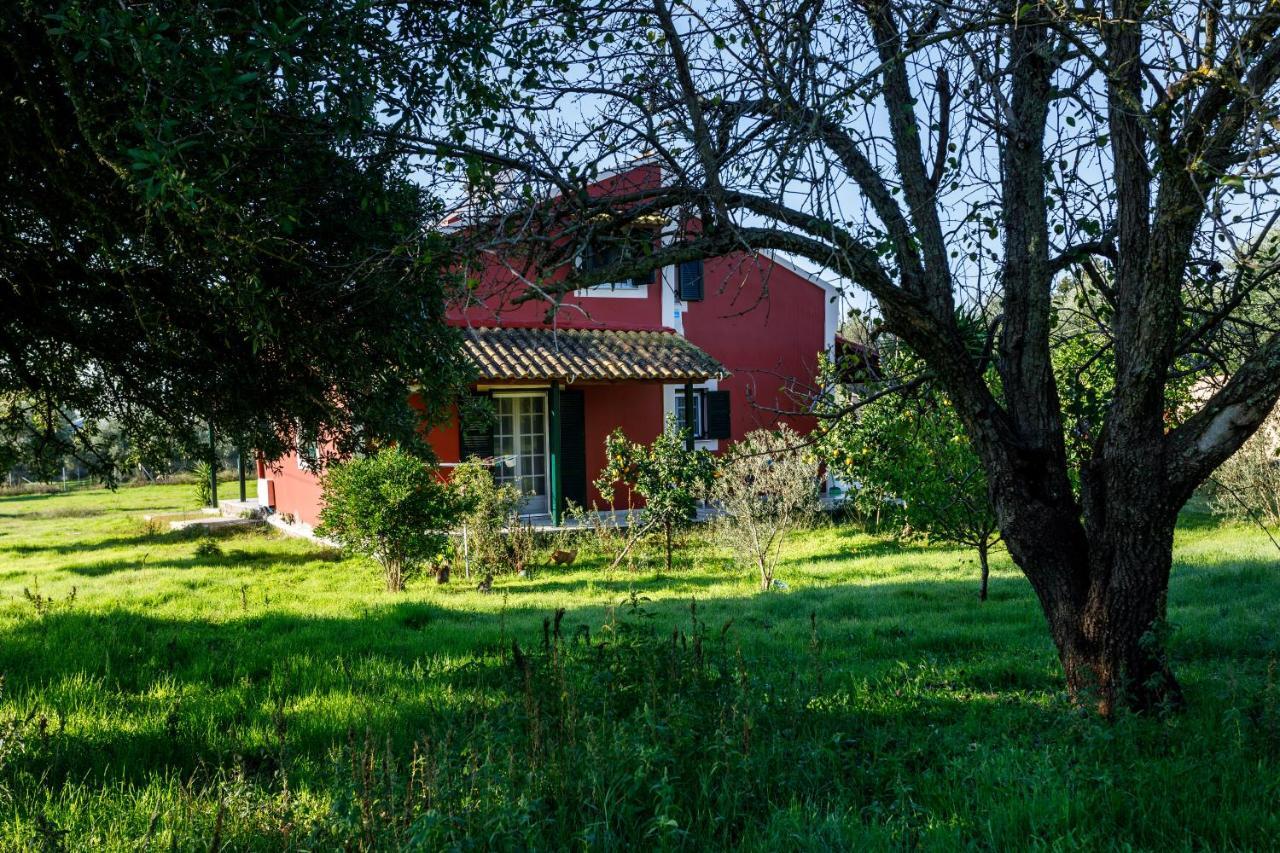 Fridas Place Halikounas Exterior foto